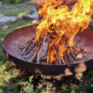 24 uur OFFLINE | Natuur ON